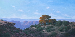 Along the Snake